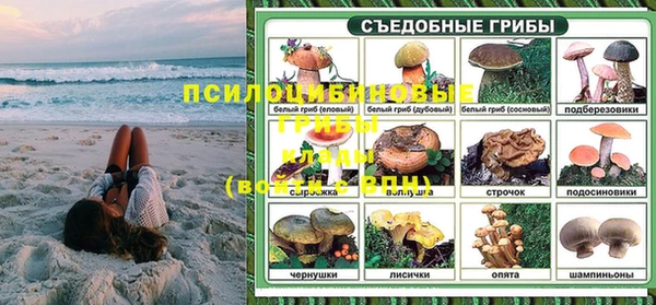 PSILOCYBIN Володарск
